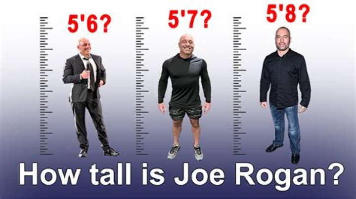 Joe Rogan Height and Weight: A Comprehensive Guide to His Physical Attributes